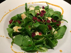 Wintervariante mit getrockneten Cranberries